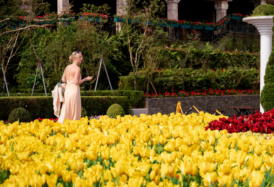 The Garden of Eden